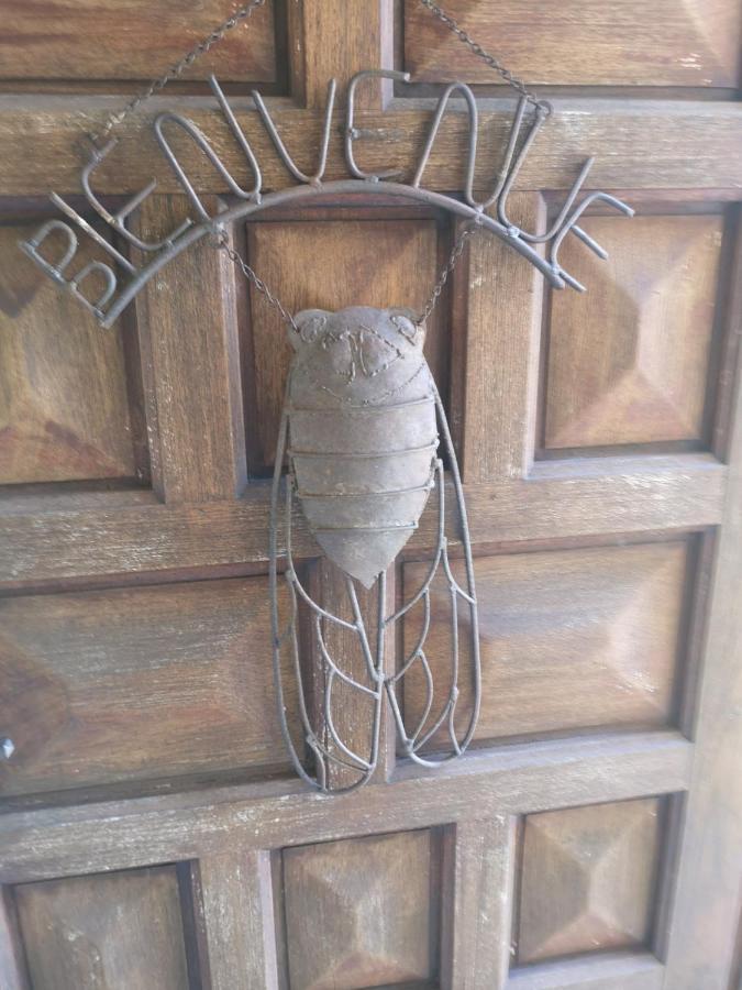 Chambre D'Hote "Avignon" Aramon Eksteriør billede
